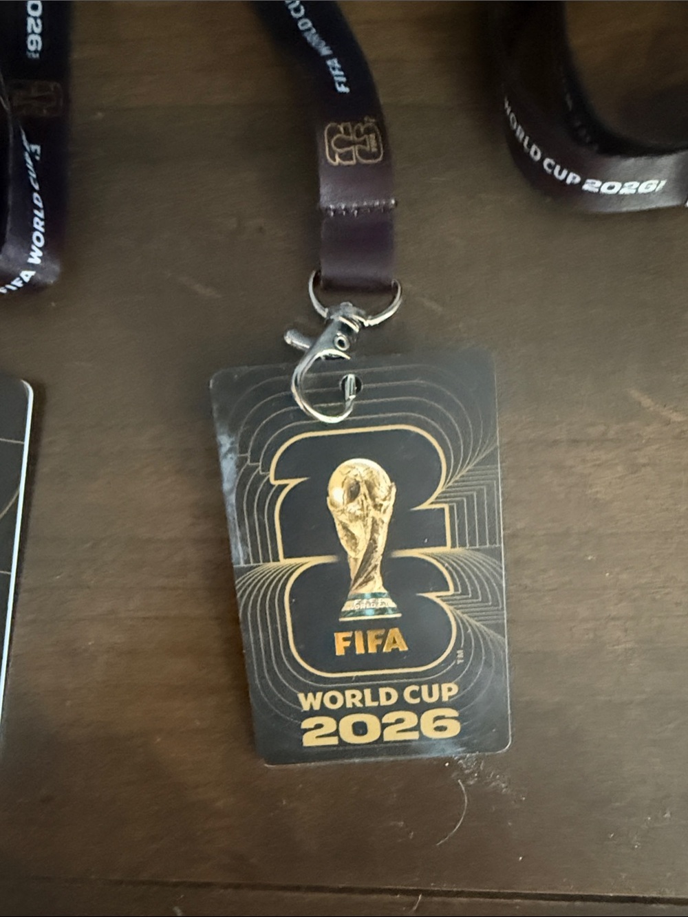 FIFA Fan ID Lanyard Badge with Gold Trophy Logo England vs DR